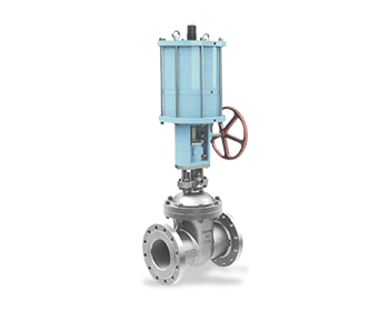 Pneumatic gate valve